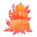 three pumpkin with red fern watercolor illustration for decoration on Thanksgiving . Royalty Free Stock Photo