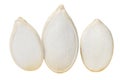 Three pumpkin seeds closeup isolated on white. Macro. Royalty Free Stock Photo