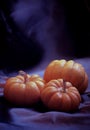 Three pumpkins Royalty Free Stock Photo