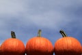 Three pumpkins against blue sky Royalty Free Stock Photo