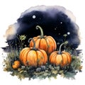 Three Pumpkins in a Field at Night Royalty Free Stock Photo