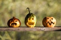 Three pumpkins for halloween party. Royalty Free Stock Photo