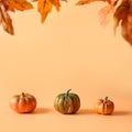 Three pumpkins for Thanksgiving day or Halloween party on orange background with copy space Royalty Free Stock Photo