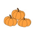 Three pumpkins on a white background