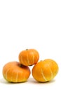 Three pumpkins white background, isolate. Royalty Free Stock Photo