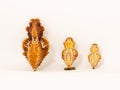 Three pupae of the Atrophaneura genus butterflies on white background