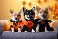 Three puppies in Halloween costumes pose for the camera while sitting on the couch