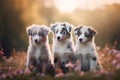 three puppies sitting in a field of flowers looking at the camera