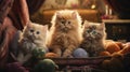 Three purebred pedigree kittens of the Persian cat breed at an exhibition of pedigree cats. Cat show. A group of Persian