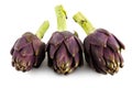 three purple artichokes from italy isolated on a white background Royalty Free Stock Photo