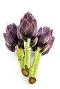 three purple artichokes from italy isolated on a white background, vertical Royalty Free Stock Photo