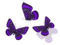 three purple butterflies isolated on a white background Royalty Free Stock Photo