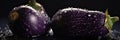 Three purple eggplants with water drops on a black background