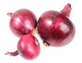 Three a purple fresh onions Royalty Free Stock Photo