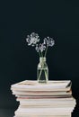 Three purple round flower in a transparent glass jar on a stack of magazines on a black background Royalty Free Stock Photo