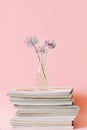 Three purple round flower in a transparent glass jar on a stack of magazines on a pink background Royalty Free Stock Photo