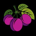 Three purple simple vector plums with green leaves, ripe sweet fruits illustration. Healthy and organic food, harvest season Royalty Free Stock Photo