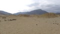 Three pyramids in Caral, north of Lima, Peru Royalty Free Stock Photo