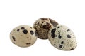 Three quail egg