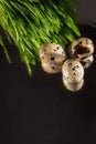 Three quail eggs on the dark background