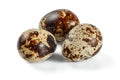 Three quail eggs isolated on white background. Royalty Free Stock Photo