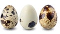 Three quail eggs isolated on white background Royalty Free Stock Photo