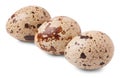 Three quail eggs isolated on white background Royalty Free Stock Photo