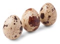 Three quail eggs isolated on white background Royalty Free Stock Photo