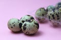 Three quail eggs lie on a pink background