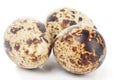 Three quail eggs, macro