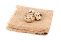 Three quail eggs Royalty Free Stock Photo