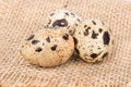 Three quail eggs Royalty Free Stock Photo