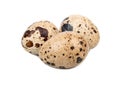 Three quail eggs Royalty Free Stock Photo