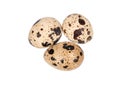 Three quail eggs Royalty Free Stock Photo