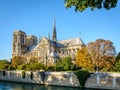 Notre-Dame de Paris cathedral by a sunny evening at the beginning of fall Royalty Free Stock Photo