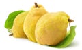 Three quince fruits on white background