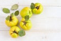 Three quinces on background board