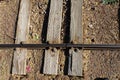 Three rails road ties with one rail weathered with bolts