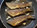 Three Rainbow Trout in the Frying Pan