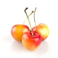 Three Rainier Cherries Royalty Free Stock Photo