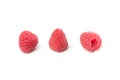 Three rasberries on white background