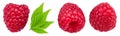 Three raspberries with raspberry leaves isolated on a white background. Maximum detail and sharpness across the entire frame Royalty Free Stock Photo