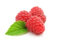 Three raspberry berries isolated