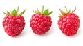 Three Raspberry collection isolated on a white background Royalty Free Stock Photo