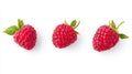 Three Raspberry collection isolated on a white background Royalty Free Stock Photo