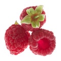 Three raspberry isolated