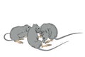 Three rats, detail after a Japanese woodblock print from Yoshitoshi
