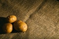 Three raw potatoes Royalty Free Stock Photo