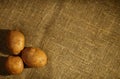 Three raw potatoes Royalty Free Stock Photo
