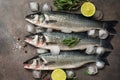 Three raw sea bass fish with rosemary, lime and ice cubes on a dark background, flat lay. Top view Royalty Free Stock Photo